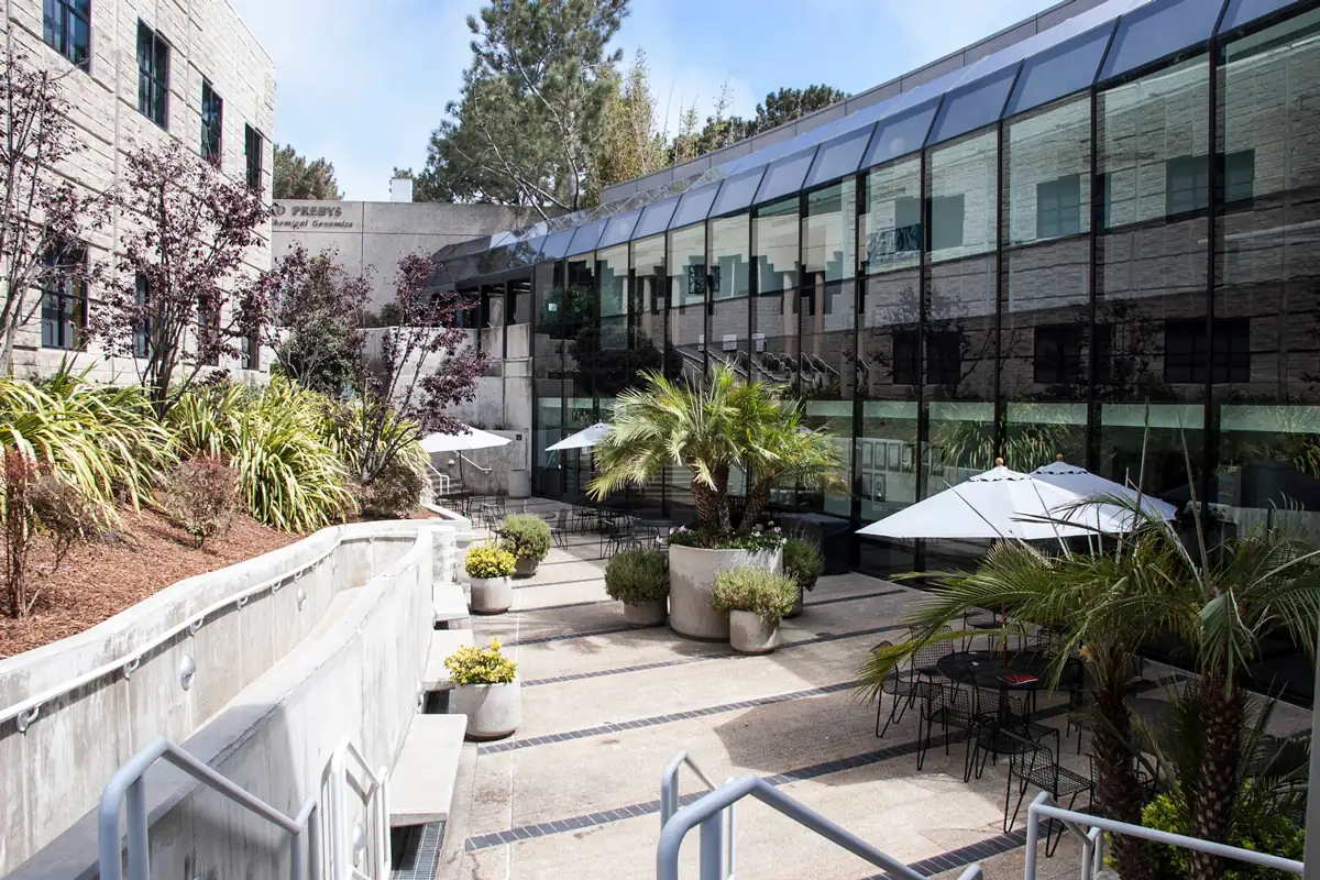 Chairman's Hall courtyard