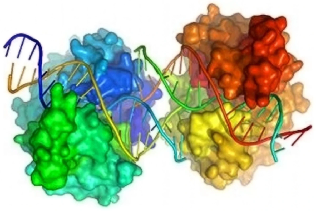 Computational or in silico modeling